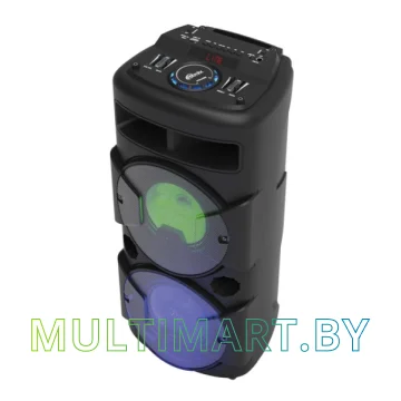 Колонка для вечеринок Ritmix SP-870B
